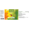Produktetikett einer Nahrungsergänzung ‚anatis chlorella‘ mit grünem Hintergrund, gelbem Sonnenblumen‑Motiv, einem Marienkäfer und Textangaben zu Inhaltsstoffen, Einnahmeempfehlung und Herstellerinformationen.