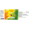 Produktetikett des Nahrungsergänzungsmittels ‚anatis Rhodiola rosea‘: Vorder‑ und Rückseite mit grünem und gelbem Hintergrund, dem Produktnamen ‚rhodiola rosea‘ oben, dem Markennamen ‚anatis‘ in Weiß, einer Marienkäfer‑Illustration auf einer gelben Blüte, Angaben zu Inhaltsstoffen (Rhodiola‑Extrakt), Tagesdosis, Einnahmeempfehlung, Hersteller‑ und Hinweistexten sowie einem Barcode.