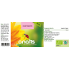 Produktetikett des Nahrungsergänzungsmittels ‚anatis Rosmarin BIO‘ mit Vorder‑ und Rückseite: grüner und gelber Hintergrund, der Markenname ‚anatis‘, ein Marienkäfer auf einer gelben Blüte, Hinweise zu Inhaltsstoffen (Rosmarin BIO), Einnahmeempfehlung, Tagesdosis und Bio‑Logo.