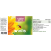 Produktetikett des Nahrungsergänzungsmittels ‚anatis Rotklee + Yams‘: Vorder‑ und Rückseite mit gelber Sonnenblume und Marienkäfer‑Illustration, Markenname ‘anatis’, Inhaltsstoffe (Rotklee‑Extrakt, Calzbone, Yams‑Extrakt), Dosierungs‑ und Herstellerangaben sowie Barcode.