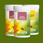 Anatis Buntnessel KUR klein – ein Set aus drei Produkten: Buntnessel‑Kapseln, Aminosäuren I und Aminosäuren III, alle mit farbigen Etiketten nebeneinander auf grünem Hintergrund angeordnet.