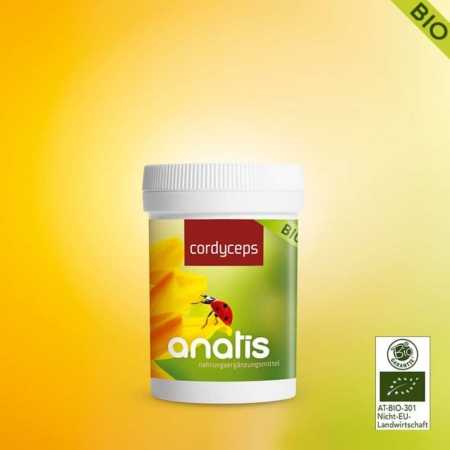 Weiße Dose des Nahrungsergänzungsmittels anatis Naturprodukte Cordyceps Vitalpilz Bio, 90 Kapseln mit grün-gelbem Etikett, dem Produktnamen ‚cordyceps‘ in weißer Schrift und dem anatis-Logo mit Marienkäfer; auf dem Etikett auch ein Bio-Siegel sichtbar.